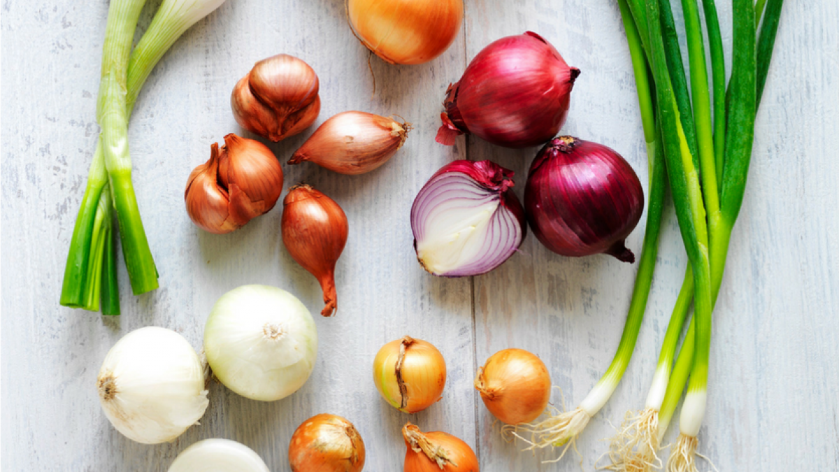 Cebolla