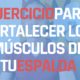 Ejercicio Para Fortalecer Los Musculos De La Espalda