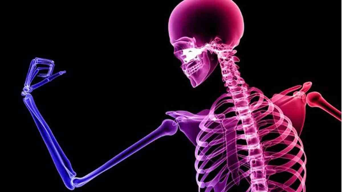 Proteinas_Y_Osteoporosis